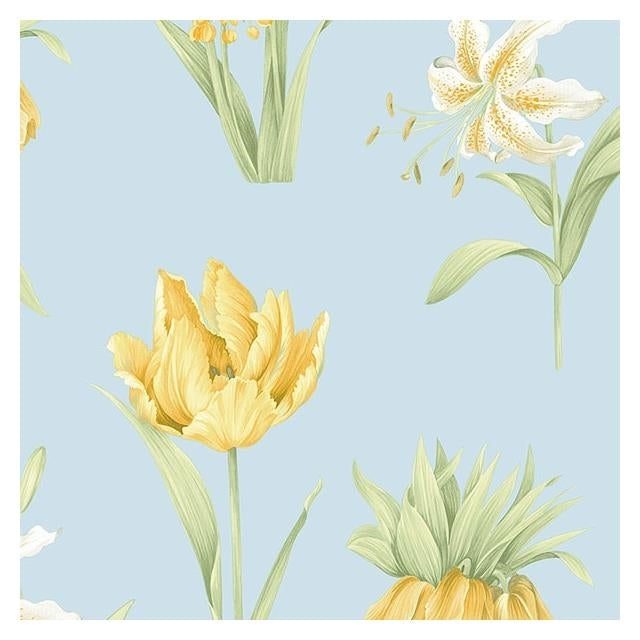 Find PA34238 Paradise Blue Floral Wallpaper by Norwall Wallpaper