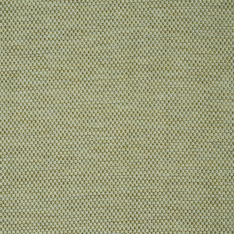 Purchase sample of 78933 Momo Hand Woven Texture, Fern by Schumacher Fabric