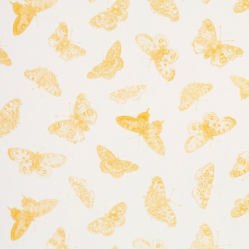 Purchase sample of 179431 Burnell Butterfly, Yellow by Schumacher Fabric