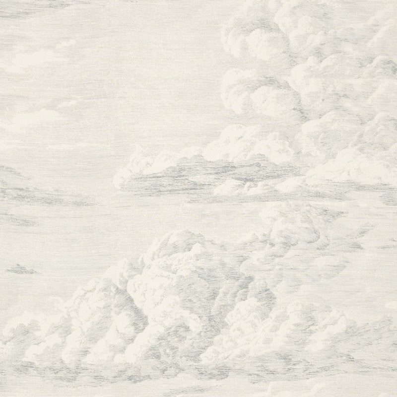 Purchase sample of 177001 Cloud Toile, Delft by Schumacher Fabric