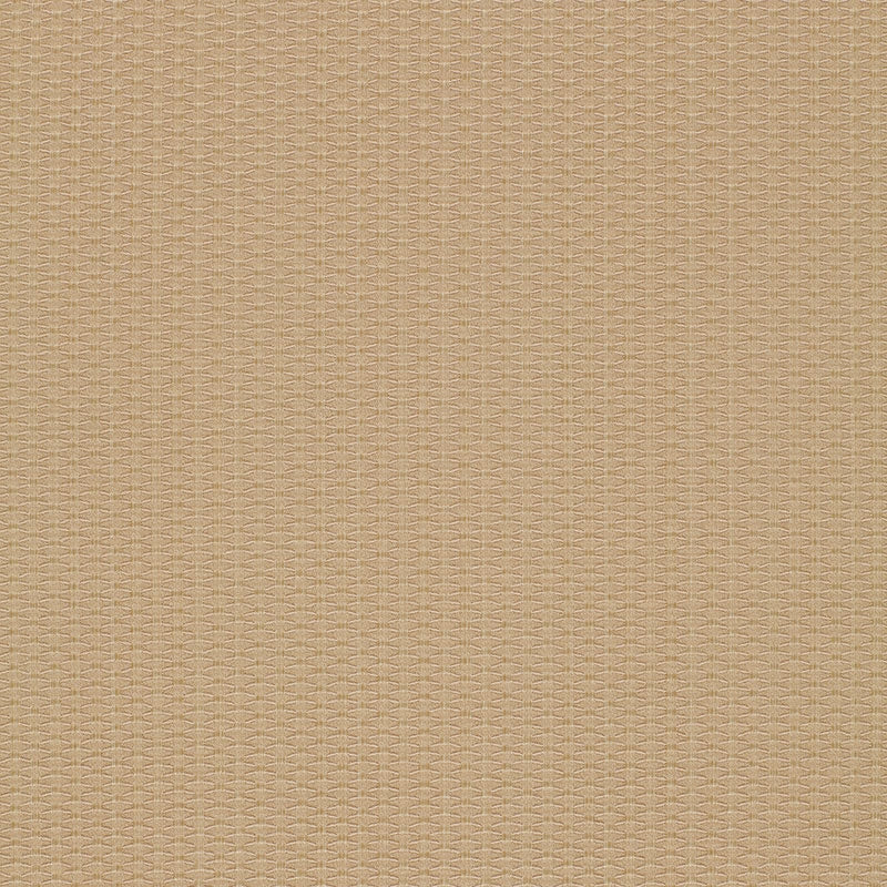 Purchase sample of 51457 Cellini Texture, Beige by Schumacher Fabric