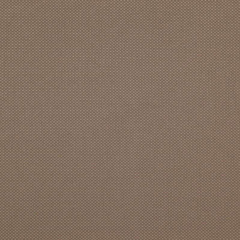 TO6004 | Tesseract Mushroom by Maxwell Fabric