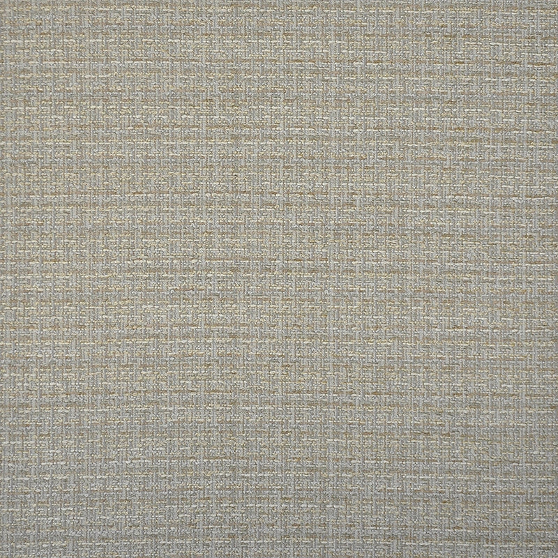 TN9920 | Terrain Fog by Maxwell Fabric