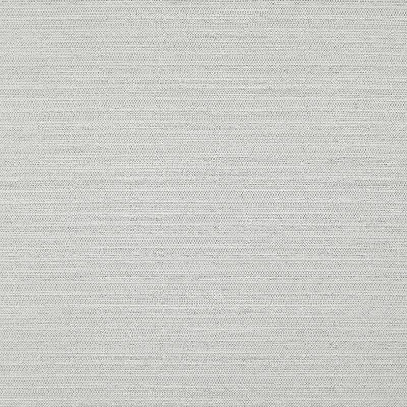 DI5703 | Darwin Silver by Maxwell Fabric