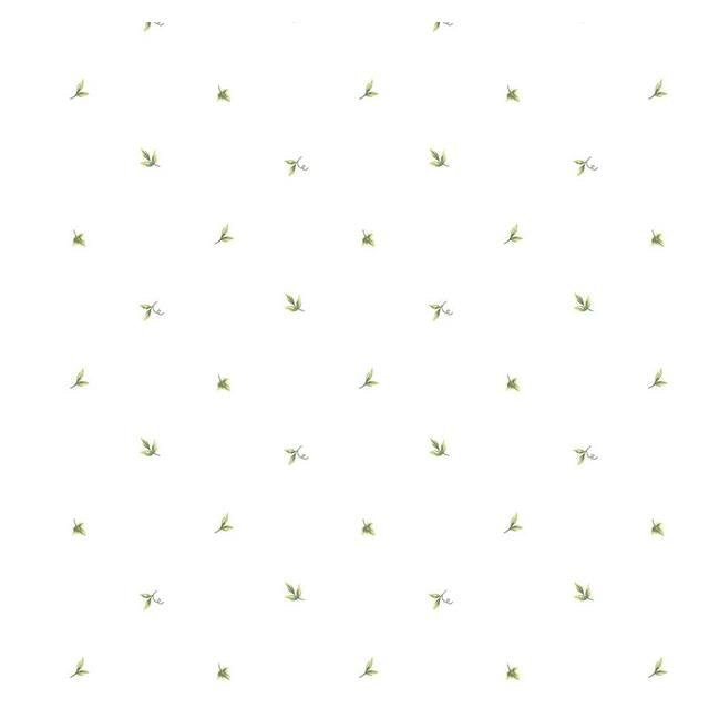 Order CK36600 Creative Kitchens Mini Leaf  by Norwall Wallpaper