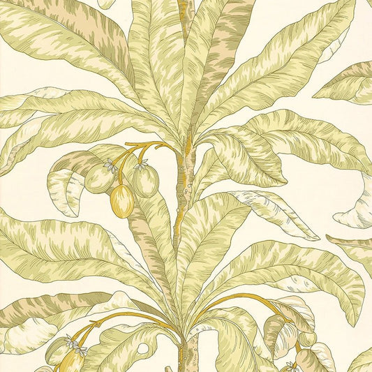 Find 5004062 Blair House Palm Kiwi Schumacher Wallpaper