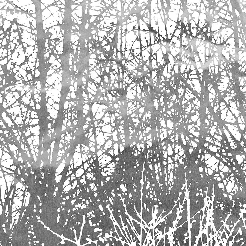 View 2707244 Birches Silver Schumacher Wallpaper