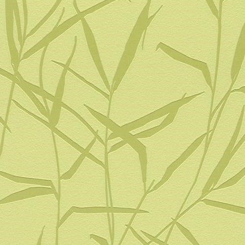 Buy 709964 BB Home Passion Green Leaves by Washington Wallpaper