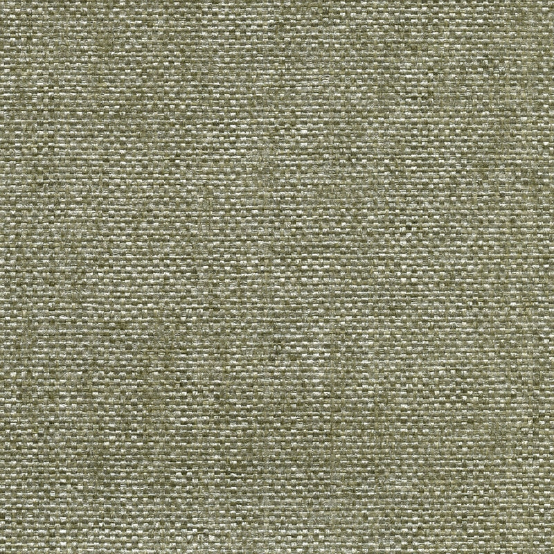 Select 2732-80079 Canton Road Kushan Light Green Paper Weave Kenneth James