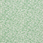 View 5009551 Chrysanthemum Green Schumacher Wallpaper