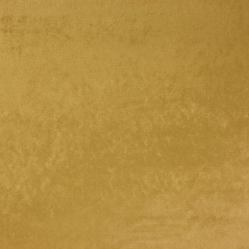 Sample 284031 Zurich Iguana by Maxwell
