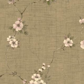 Shop HE50409 Heritage Floral by Seabrook Wallpaper