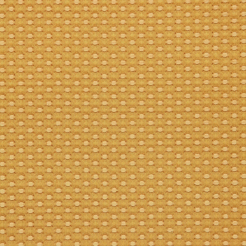 Purchase sample of 60284 Monserat Chenille, Gold by Schumacher Fabric
