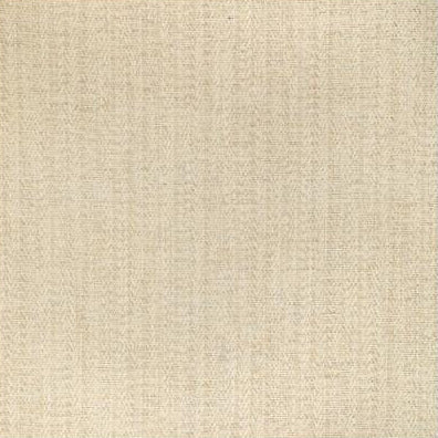 Buy 2021107.11 Alfaro Weave Stone Textured by Lee Jofa Fabric