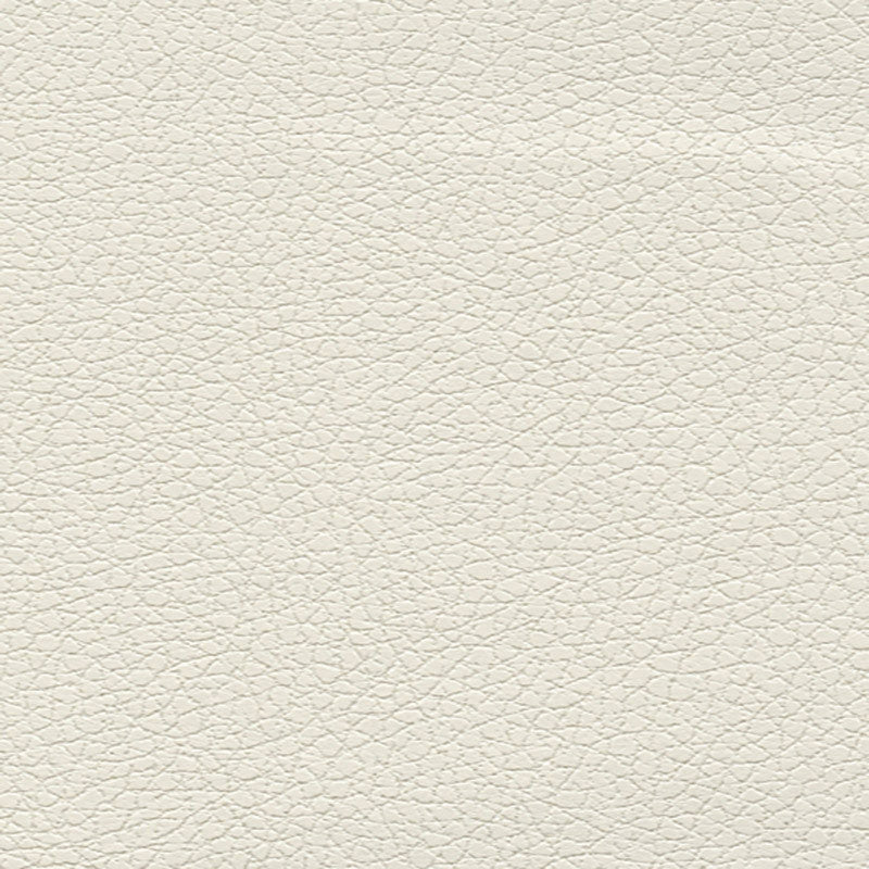 Purchase sample of 303-5747 Brisa, White by Schumacher Fabric