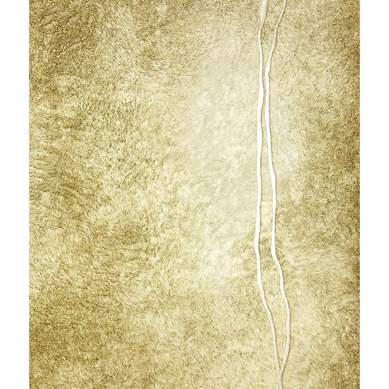 Sample 2871-88749 Selvaggia, Matera Gold Fur Line by Brewster Wallpaper