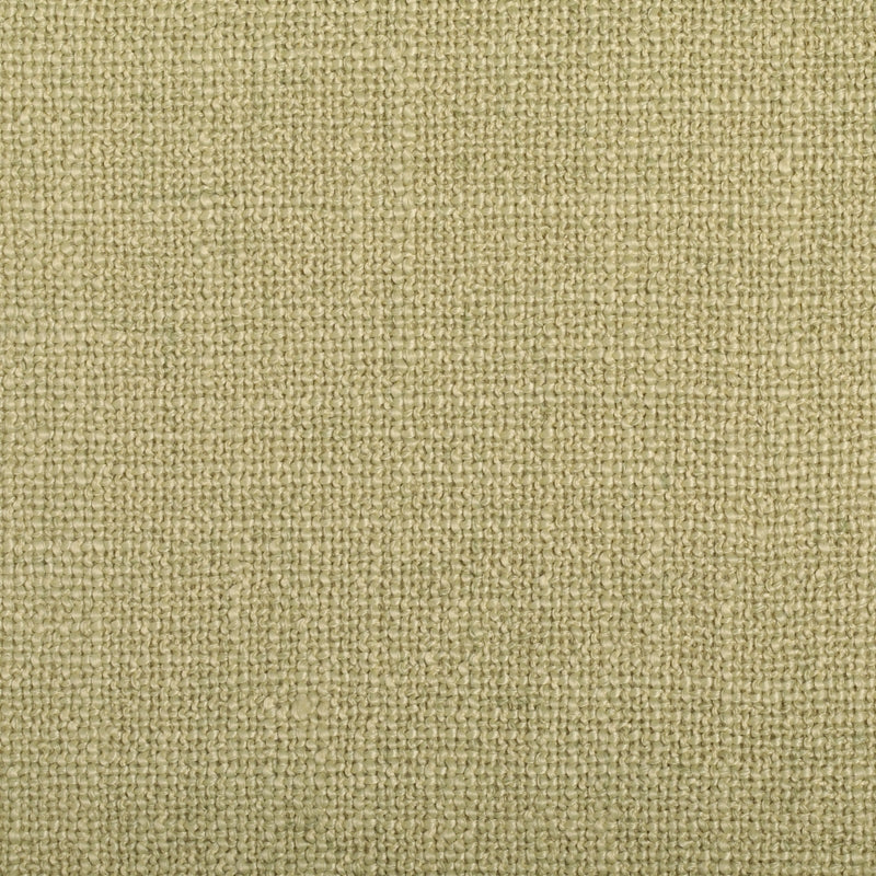 Shop S4264 Sprig Green Solid/Plain Greenhouse Fabric