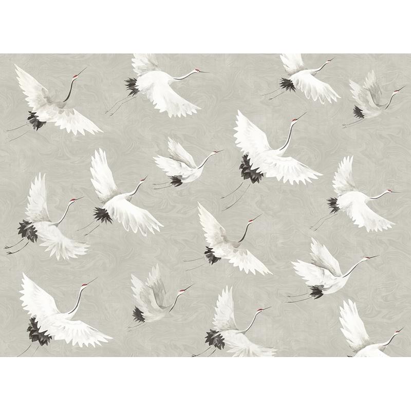 ASTM3909 Katie Hunt Crane You Later Dove Grey Wall Mural by Katie Hunt x A-Street Prints,ASTM3909 Katie Hunt Crane You Later Dove Grey Wall Mural by Katie Hunt x A-Street Prints2,ASTM3909 Katie Hunt Crane You Later Dove Grey Wall Mural by Katie Hunt x A-Street Prints3,ASTM3909 Katie Hunt Crane You Later Dove Grey Wall Mural by Katie Hunt x A-Street Prints4,ASTM3909 Katie Hunt Crane You Later Dove Grey Wall Mural by Katie Hunt x A-Street Prints5,
