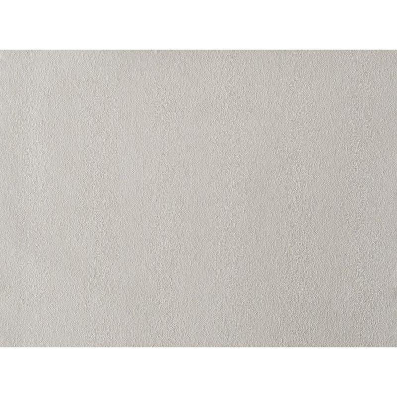 Find NOVASUEDE.1110.0  Solids/Plain Cloth Light Grey by Kravet Design Fabric
