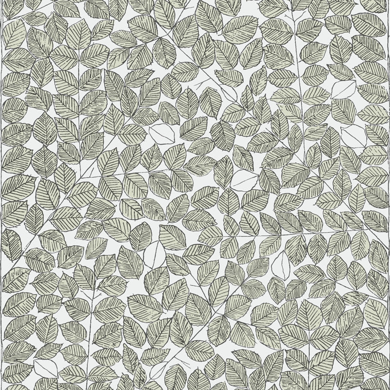 Sample 1769 Romans, Leaf By Borastapeter Wallpaper