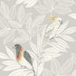 Sample RY30100 Boho Rhapsody, Paradise Island Birds Daydream Gray and Ivory Seabrook Wallpaper