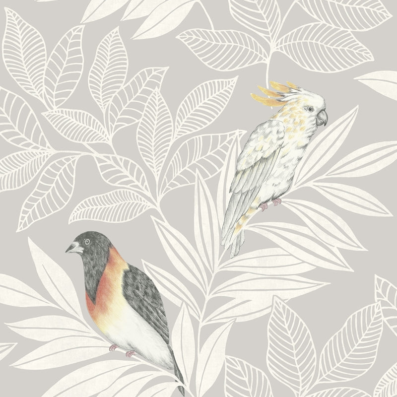 Sample RY30100 Boho Rhapsody, Paradise Island Birds Daydream Gray and Ivory Seabrook Wallpaper