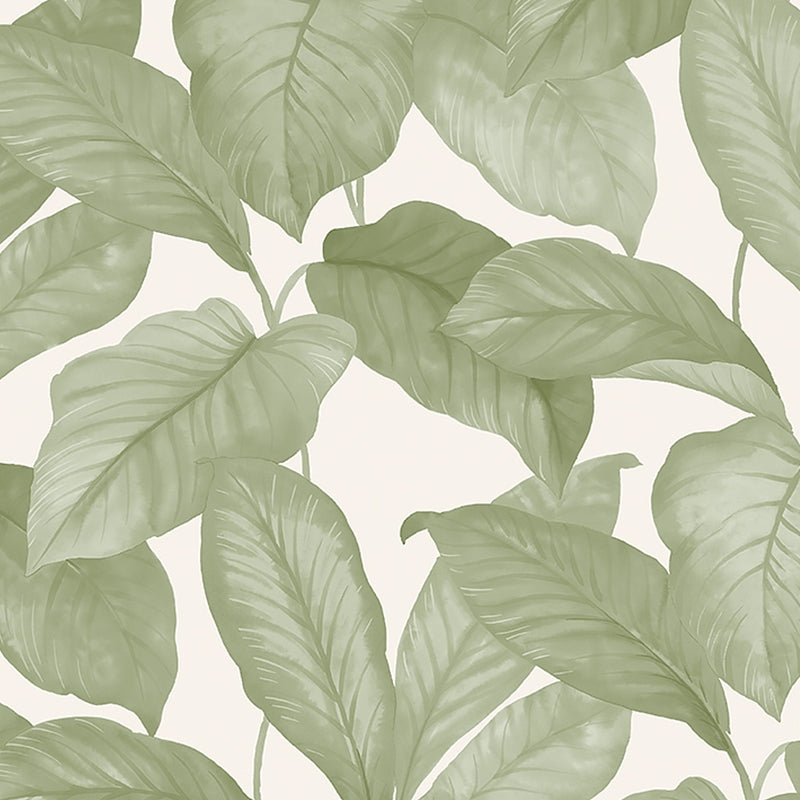 Sample 7402 Bo, Leaf By Borastapeter Wallpaper