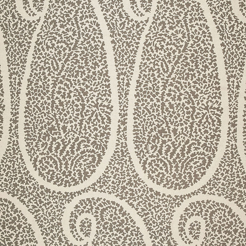 Purchase sample of 174640 Ambala Paisley, Greige by Schumacher Fabric