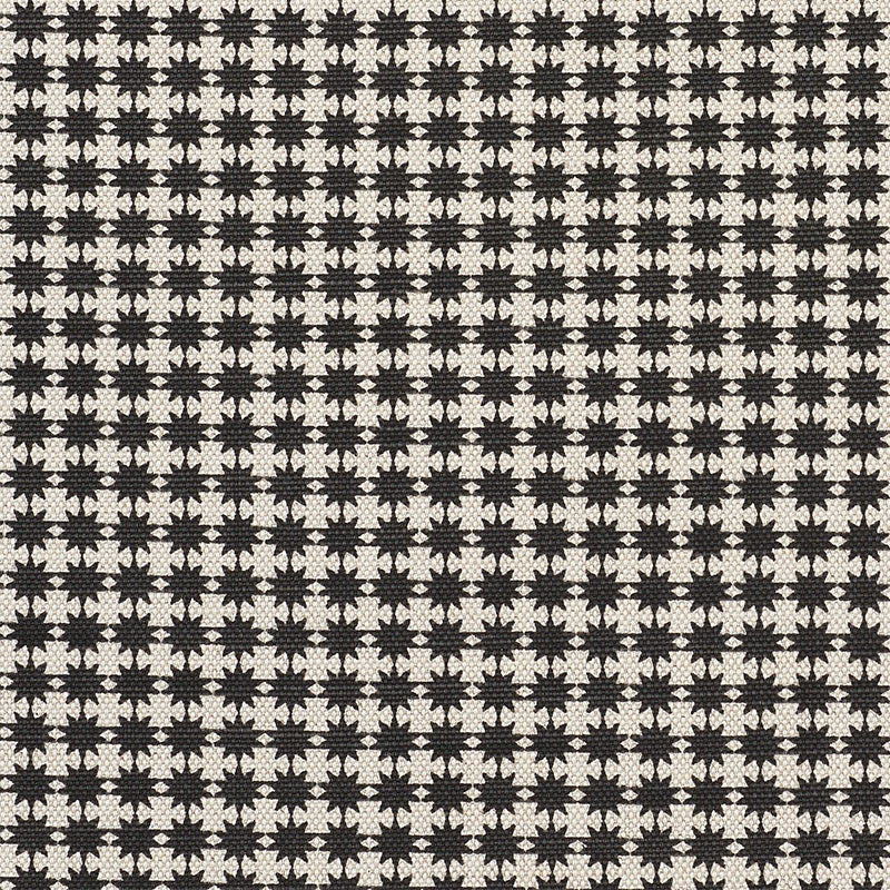 Purchase sample of 177087 Stella, Black  Natural by Schumacher Fabric