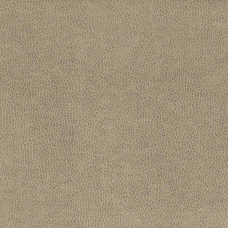 Sample WILK-2 Dove by Stout Fabric