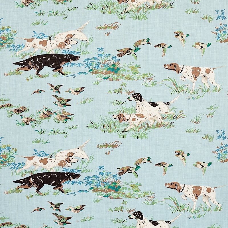 Purchase sample of 175161 Pointers, Sky by Schumacher Fabric