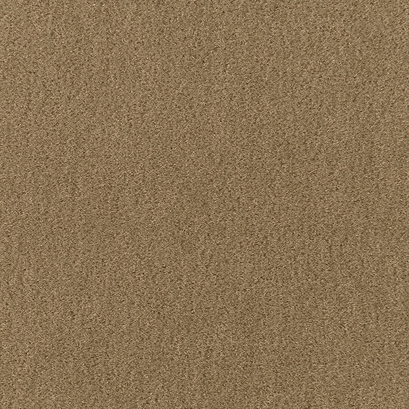 Purchase sample of 64895 San Carlo Mohair Velvet, Herb by Schumacher Fabric