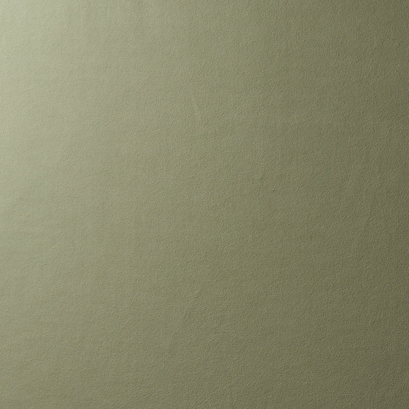 Purchase sample of 81138 Vegan Suede, Sage by Schumacher Fabric