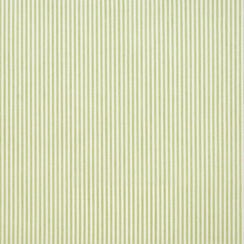 S1238 Leaf | Stripes, Woven - Greenhouse Fabric