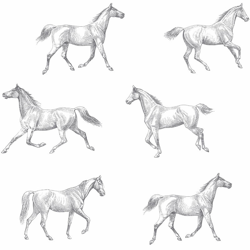 Sample DD128807 Design Department, Burnett Off-White Horses Wallpaper by Brewster