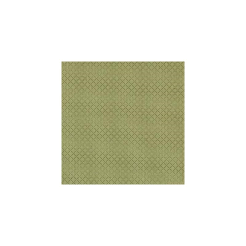 32828-21 | Avocado - Duralee Fabric