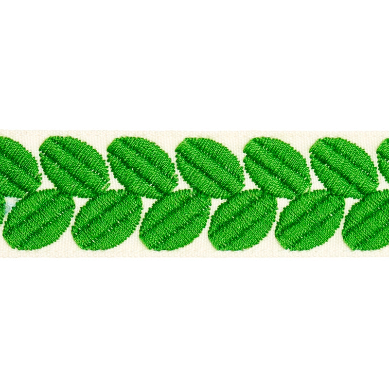Sample 79913 Berkeley Tape Narrow, Leaf By Schumacher Trim