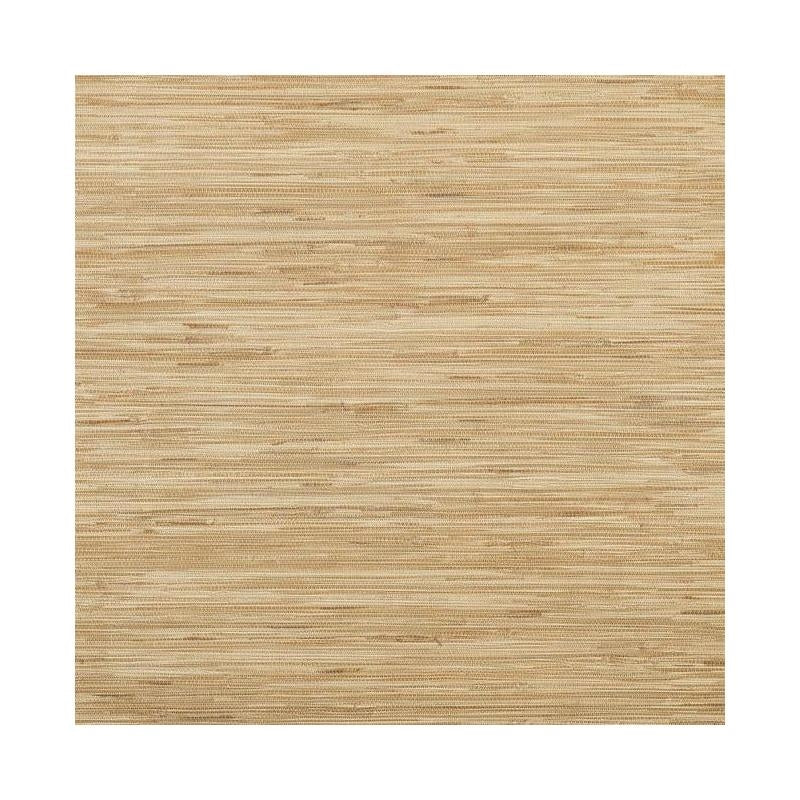 Sample RN1062LW Grasscloth Texture by Inspired by Color