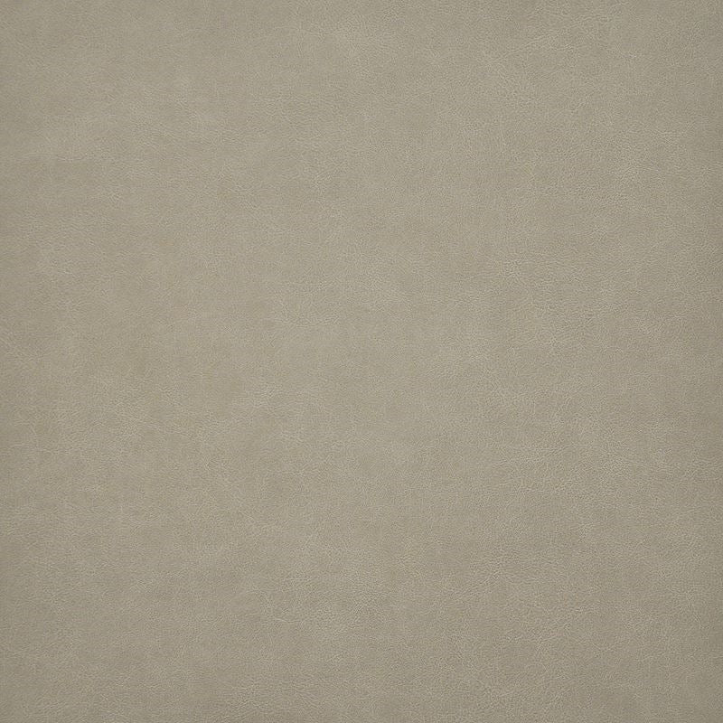 TQ5217 | Taro Jute by Maxwell Fabric