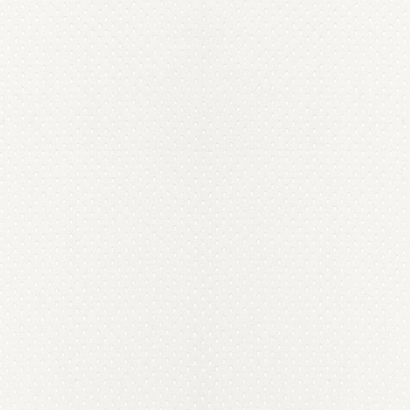 Purchase sample of 67670 Donatello Sheer, Ivory by Schumacher Fabric