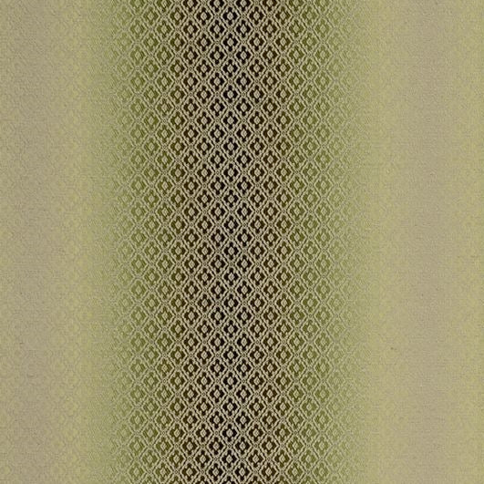 Buy F0790-06 Diamante Olive by Clarke And Clarke Fabric