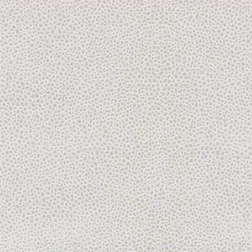 Purchase EDGY SHARK.11.0 Edgy Shark Platinum Texture Grey Kravet Couture Fabric