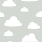 Save NU1931 Clouds Grey Nature Peel and Stick by Wallpaper