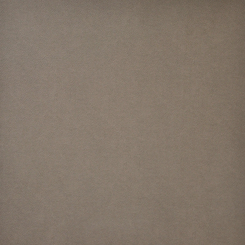 Sample PQ54016 Pony Express Timber by Maxwell