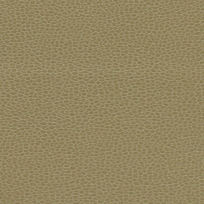 Purchase sample of 363-3148 Promessa, Briarwood by Schumacher Fabric