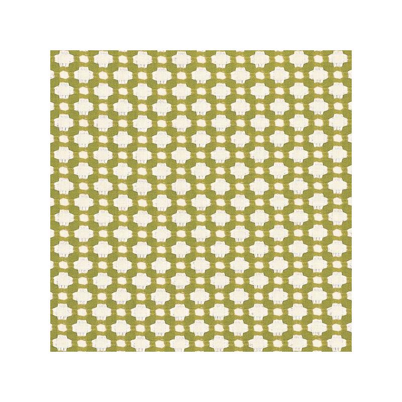 Purchase sample of 62614 Betwixt, Grass/Ivory by Schumacher Fabric