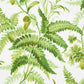 Looking for 5013231 Myers Fern Tropical Schumacher Wallcovering Wallpaper