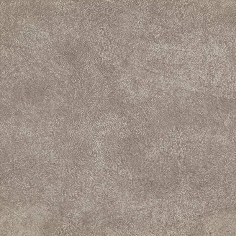 TQ8018 | Titus Stucco by Maxwell Fabric