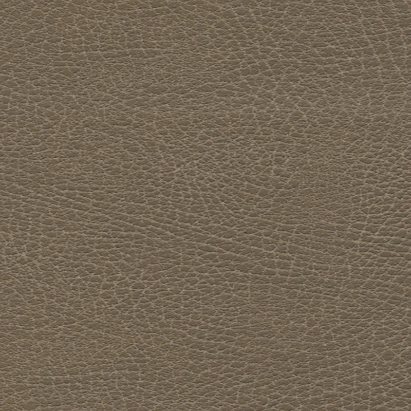 Purchase sample of 335-3871 Brisa Distressed, Moccasin by Schumacher Fabric