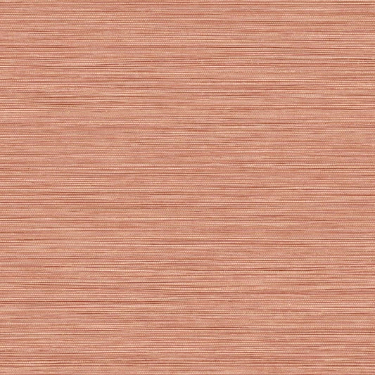 View BV30101 Texture Gallery Grasslands Salmon by Seabrook Wallpaper